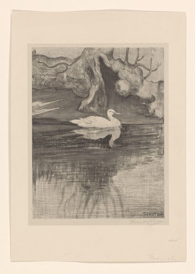Lampi ankan kanssa tekijältä Theo van Hoytema (signed by artist)