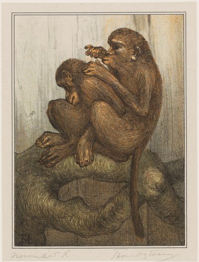 kirppuapinoita tekijältä Theo van Hoytema (signed by artist)