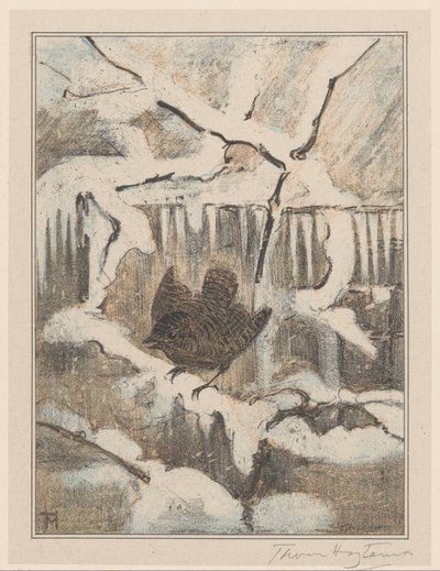 Wren lumisella oksalla tekijältä Theo van Hoytema (signed by artist)