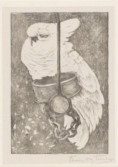 Acabat de cacatúa blanca tekijältä Theo van Hoytema (signed by artist)