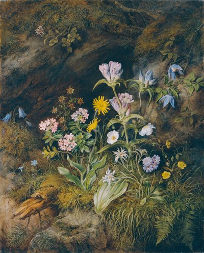 Alppien kasvisto tekijältä Theodor Josef Petter