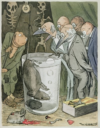 Lääkärin tieteellinen koe tekijältä Theodor Kittelsen