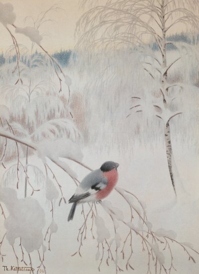 Punatulkku tekijältä Theodor Kittelsen