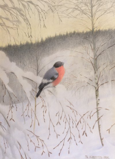 Bullfinch Frosty Twigissä tekijältä Theodor Kittelsen