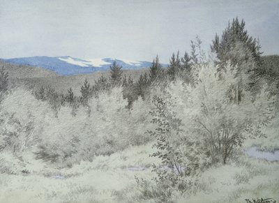 Kaukana metsässä tekijältä Theodor Kittelsen