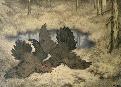 Peikkolintutaistelu siellä tekijältä Theodor Kittelsen