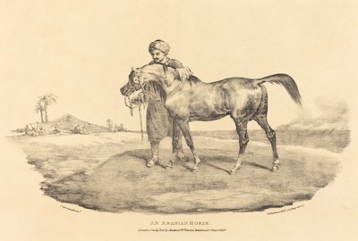 Arabian hevonen tekijältä Theodore Gericault