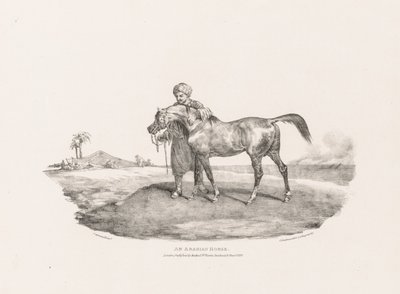 Arabianhevonen tekijältä Theodore Gericault