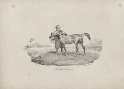 Arabialainen hevonen tekijältä Theodore Gericault