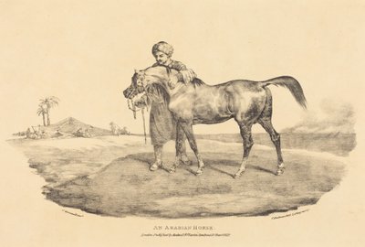 Arabialainen hevonen tekijältä Theodore Gericault