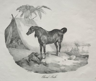 Arabi hevonen tekijältä Theodore Gericault