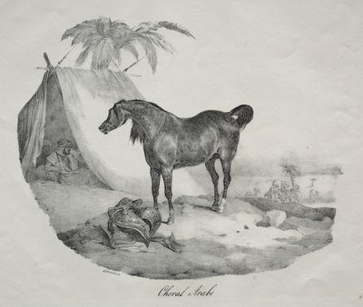 Arabianhevonen tekijältä Theodore Gericault