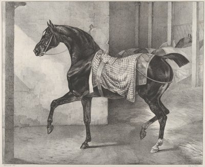Talliin sidottu musta hevonen tekijältä Theodore Gericault