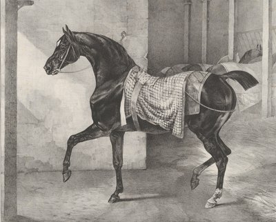 Musta hevonen sidottu talliin, 1822. tekijältä Theodore Gericault