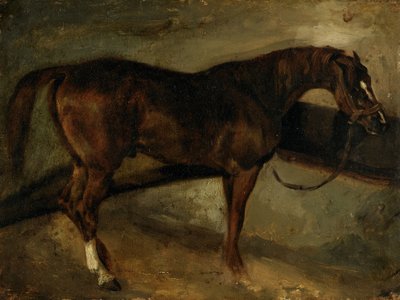 Ruskea hevonen tekijältä Theodore Gericault