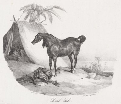 Arabialainen hevonen (An Arabian Horse) tekijältä Theodore Gericault