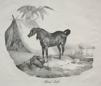 Arabian hevonen. tekijältä Theodore Gericault
