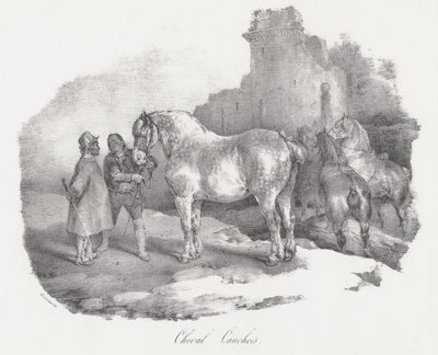 Cheval Cauchois (Cauxin, Normandian, alkuperäinen hevosrotu) tekijältä Theodore Gericault