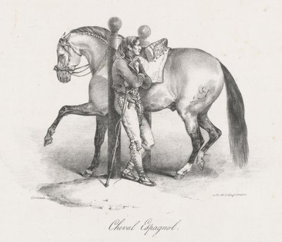 Espanjalainen hevonen (A Spanish Horse) tekijältä Theodore Gericault