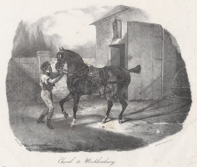 Mecklenburgin hevonen (A Mecklenburg Horse) tekijältä Theodore Gericault