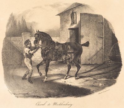 Mecklenburgin hevonen tekijältä Theodore Gericault