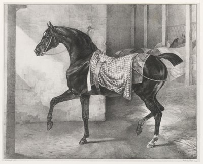 Talliin sidottu musta hevonen (A Black Horse Tethered in a Stable) tekijältä Theodore Gericault