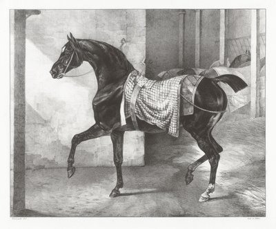 Talliin sidottu musta hevonen (A Black Horse Tethered in a Stable) tekijältä Theodore Gericault