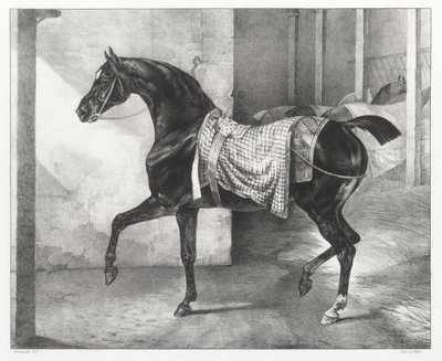 Talliin sidottu musta hevonen (A Black Horse Tethered in a Stable) tekijältä Theodore Gericault