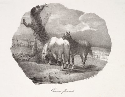 Flanderilaisia hevosia tekijältä Theodore Gericault