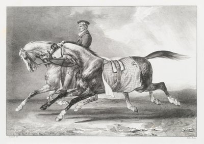 Kaksi pilkullista harmaata hevosta ulkoilutettavana (Two Dapple-Grays Being Exercised) tekijältä Theodore Gericault