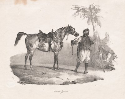 Egyptin tamma tekijältä Theodore Gericault