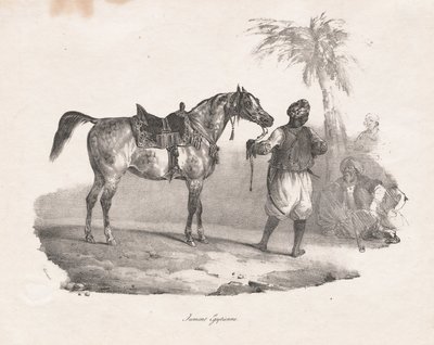 Egyptiläistamma tekijältä Theodore Gericault