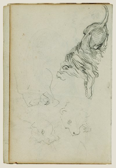Neljä leijonatutkimusta tekijältä Theodore Gericault