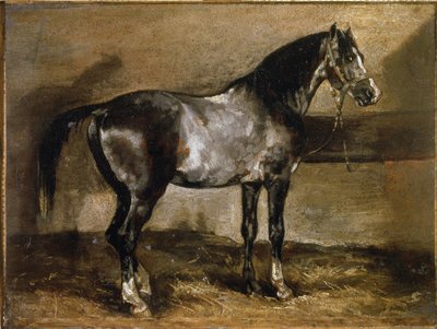 Gray Horse at the Ratelier - öljy kankaalle tekijältä Theodore Gericault