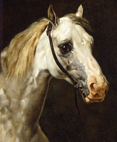 Piebald-hevosen pää, tekijältä Theodore Gericault