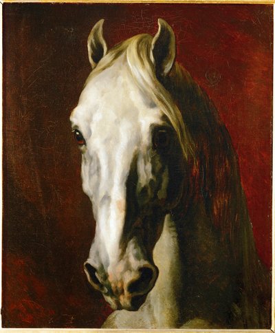 Valkoisen hevosen pää ... tekijältä Theodore Gericault