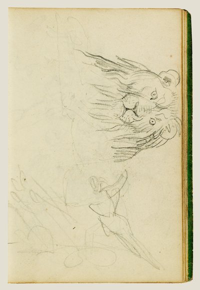 Istuvan leijonan edestä katsottu kuva tekijältä Theodore Gericault