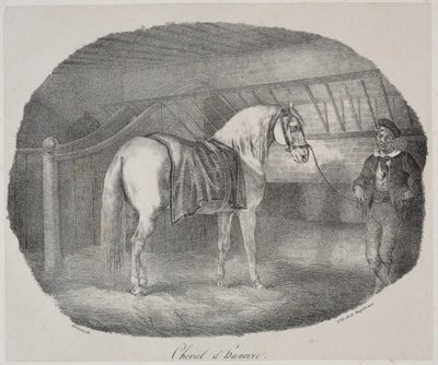 Hevonen Hannoverista tekijältä Theodore Gericault