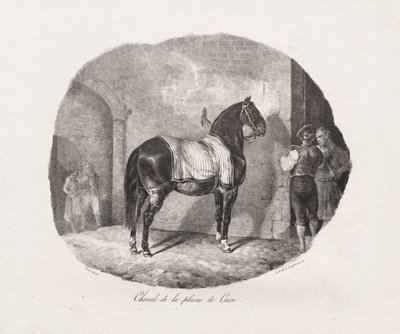 Caenin tasangon hevonen tekijältä Theodore Gericault