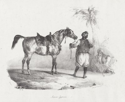 Egyptiläinen tamma (An Egyptian Mare) tekijältä Theodore Gericault