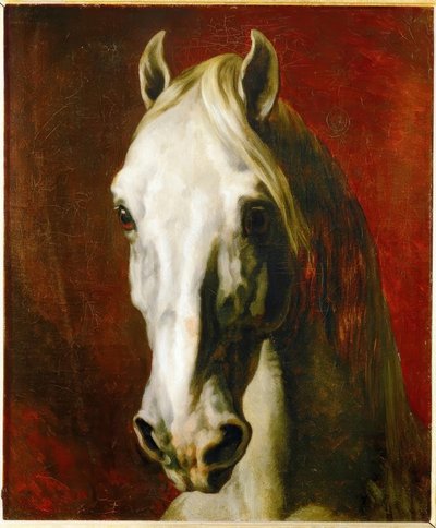 Kopf eines Schimmels tekijältä Theodore Gericault