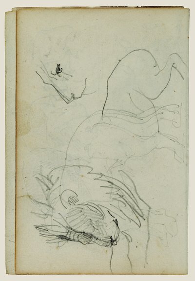 Leijonatutkimukset tekijältä Theodore Gericault