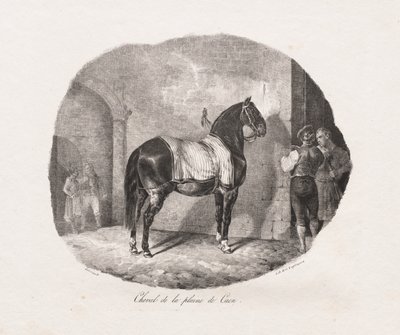 Litografoidut hevostutkimukset: Pl. 7, hevonen Caenin tasangolta, 1822. tekijältä Theodore Gericault