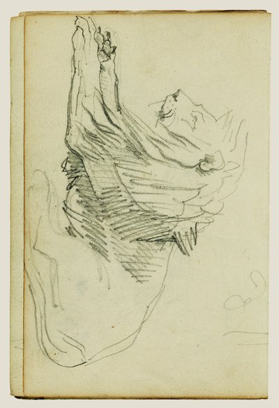 Istuva leijona tekijältä Theodore Gericault