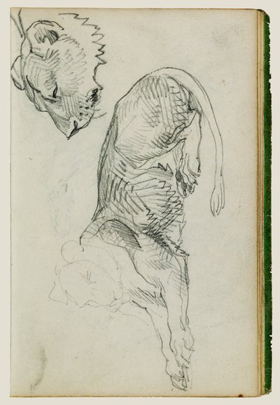 Istuva leijona, leijonattaren pää tekijältä Theodore Gericault
