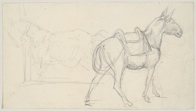 Hevosen luonnos tekijältä Theodore Gericault
