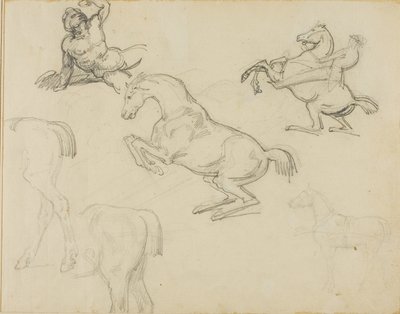 Luonnoksia: Hevosmies ja erilaisia hevosia. tekijältä Theodore Gericault