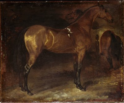 Espanjan hevonen - öljy kankaalle tekijältä Theodore Gericault