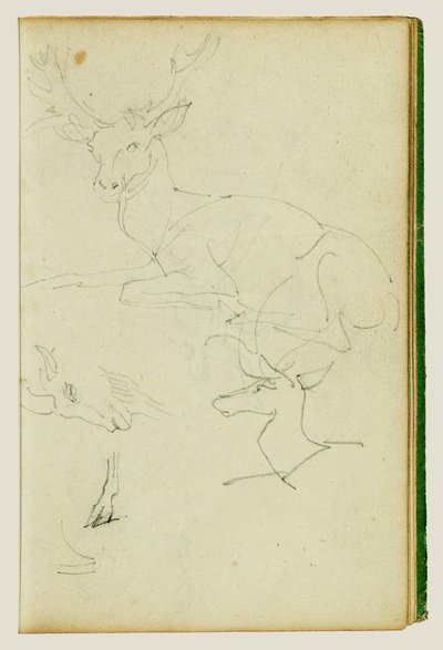 Tutkimukset istuvasta hirvestä, hirvenvasikasta ja vuohenpäästä tekijältä Theodore Gericault