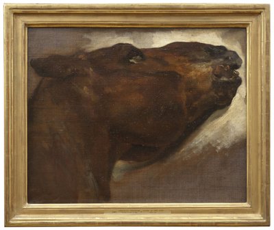 Tutkimus kuolleesta hevosesta tekijältä Theodore Gericault